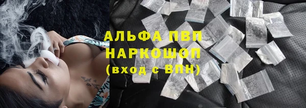 мяу мяу мука Баксан