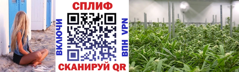 Бошки марихуана SATIVA & INDICA  Купить закладки  Аткарск 